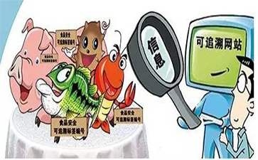 农产品91香蕉视频黄色追溯建立的原因有哪些