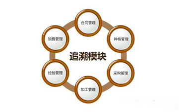 区块链91香蕉视频黄色溯源技术解决方案