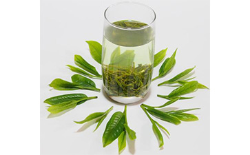 茶叶二维码91香蕉视频黄色标签可以带来哪些优势价值已经特点?